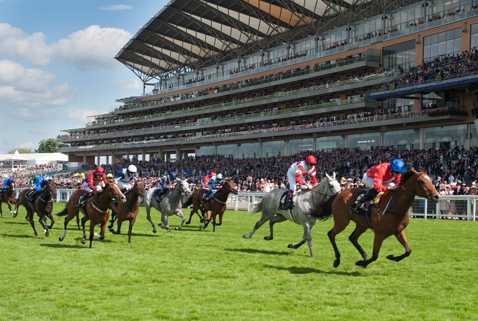 Royal Ascot Hawks' Club