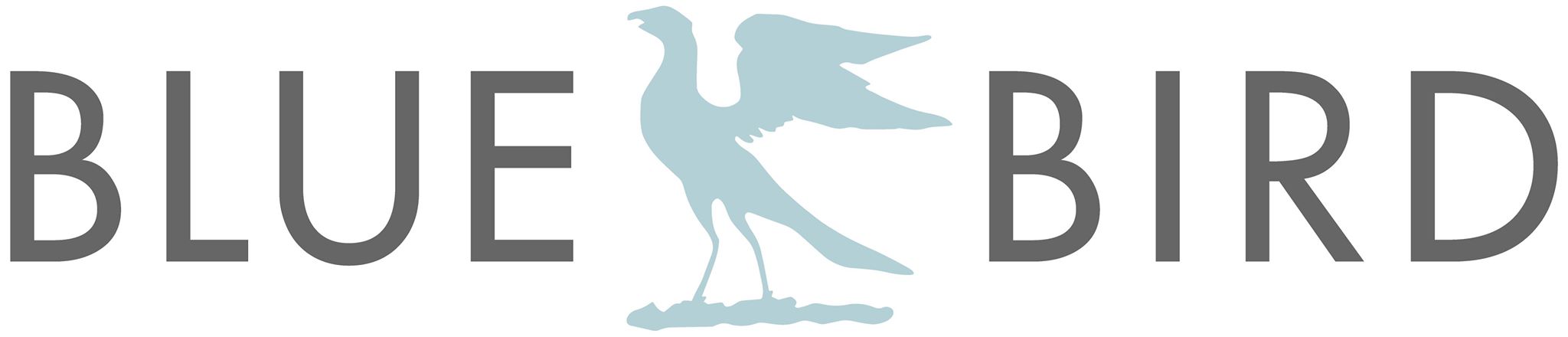 Blue Bird committee roles - Hawks' Club